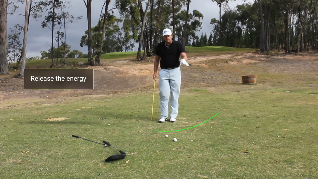 The Move of Millions - World Class Golf Instruction