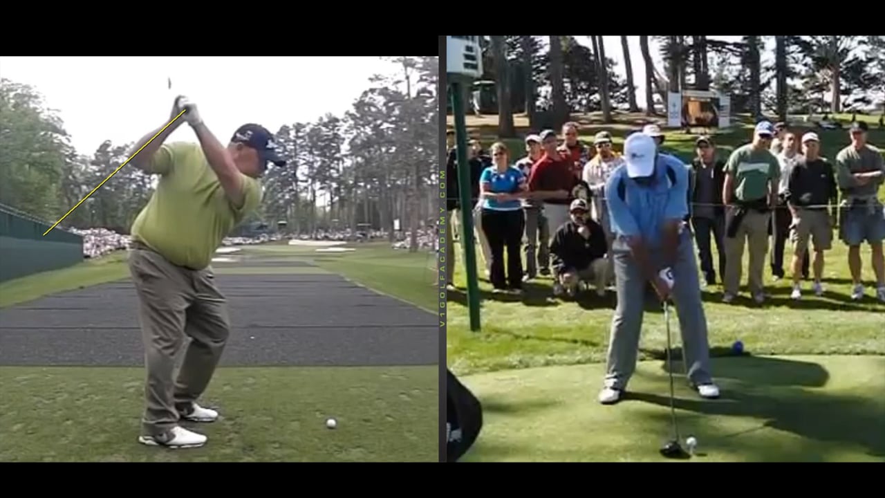 Endomorph / Mesomorph / Ectomorph A Look at the Different Body Types