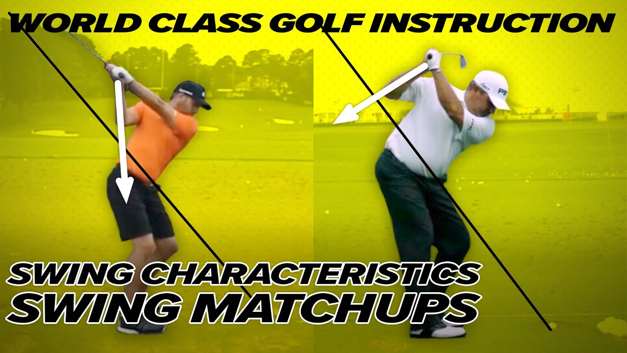 PGA Pro Swing Analysis World Class Golf Instruction